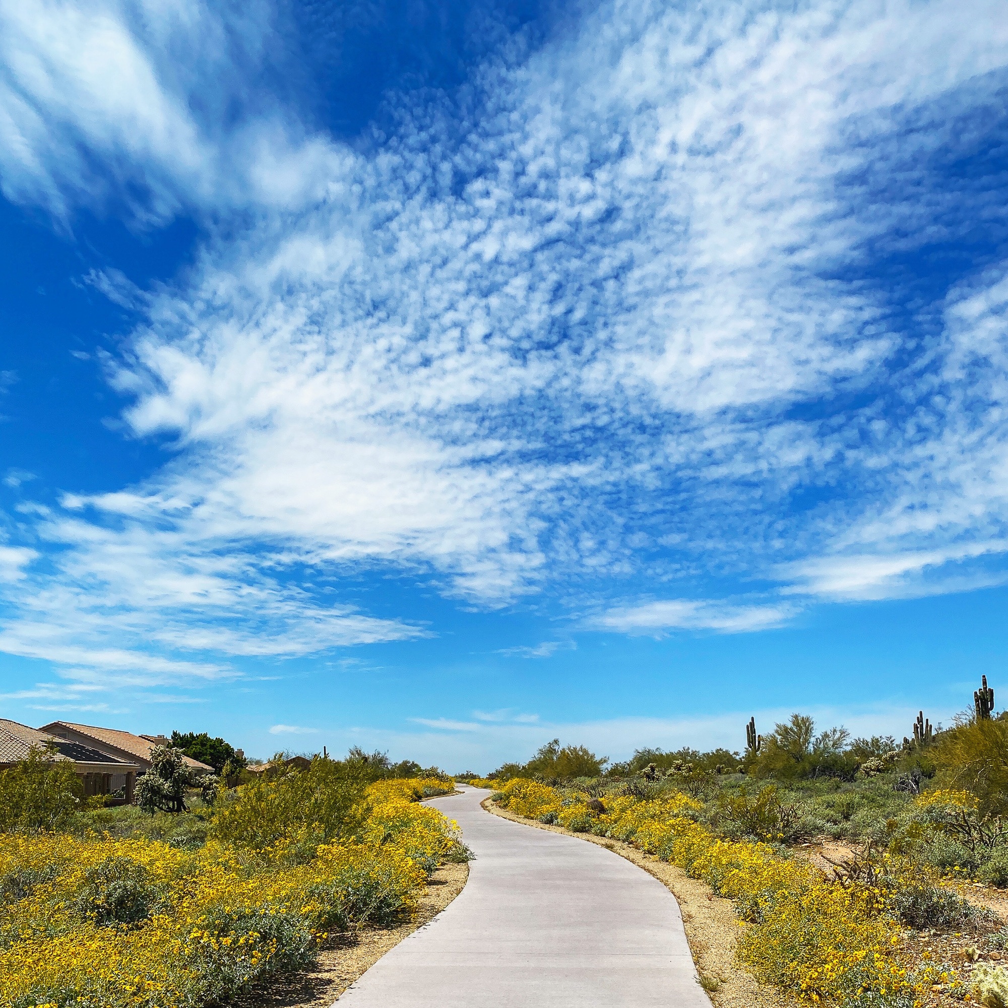 Blue sky with clouds