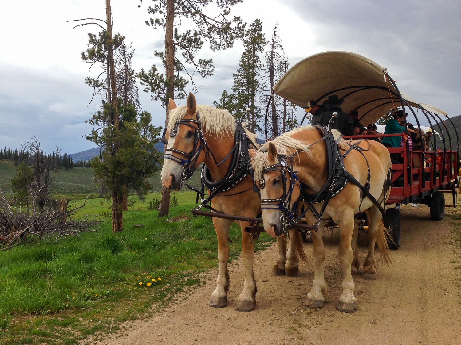 Keystone Wagon Ride Dinner in Colorado