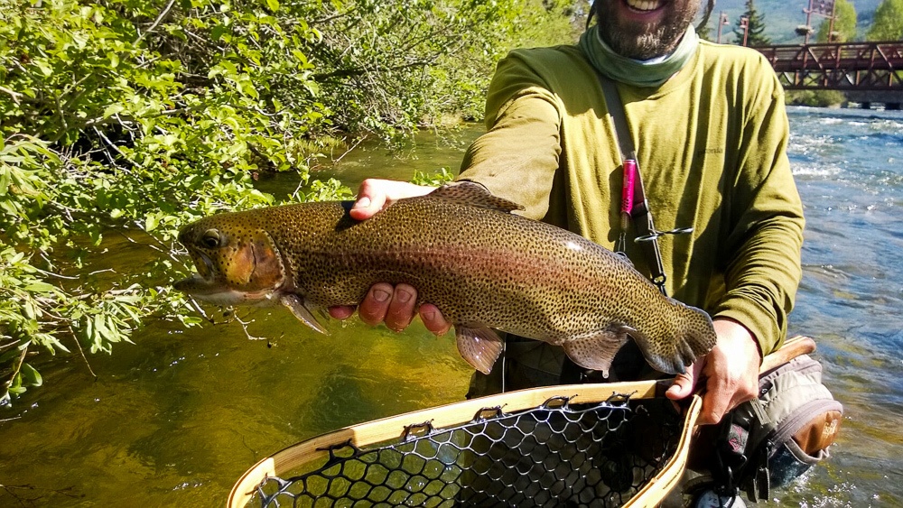 Fly-fishing with Colorado Angler