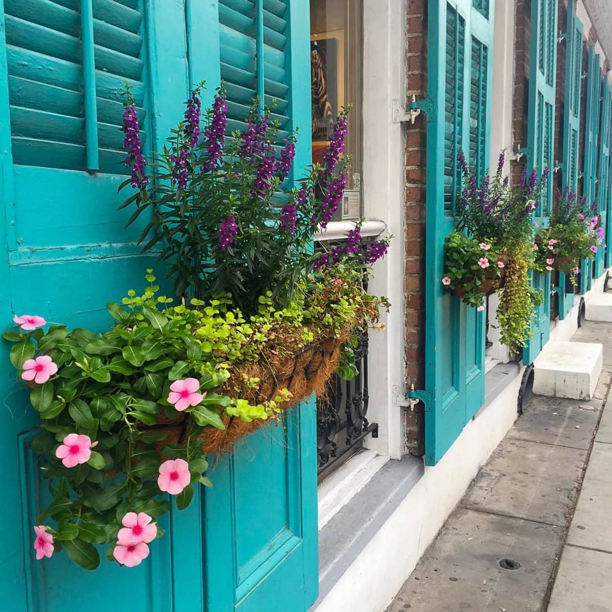 Romantic flower boxes in the French Quarter