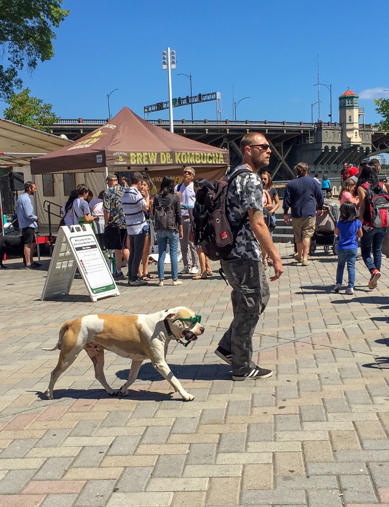 A man and his dog sport sunglasses at Portland Saturday Market 