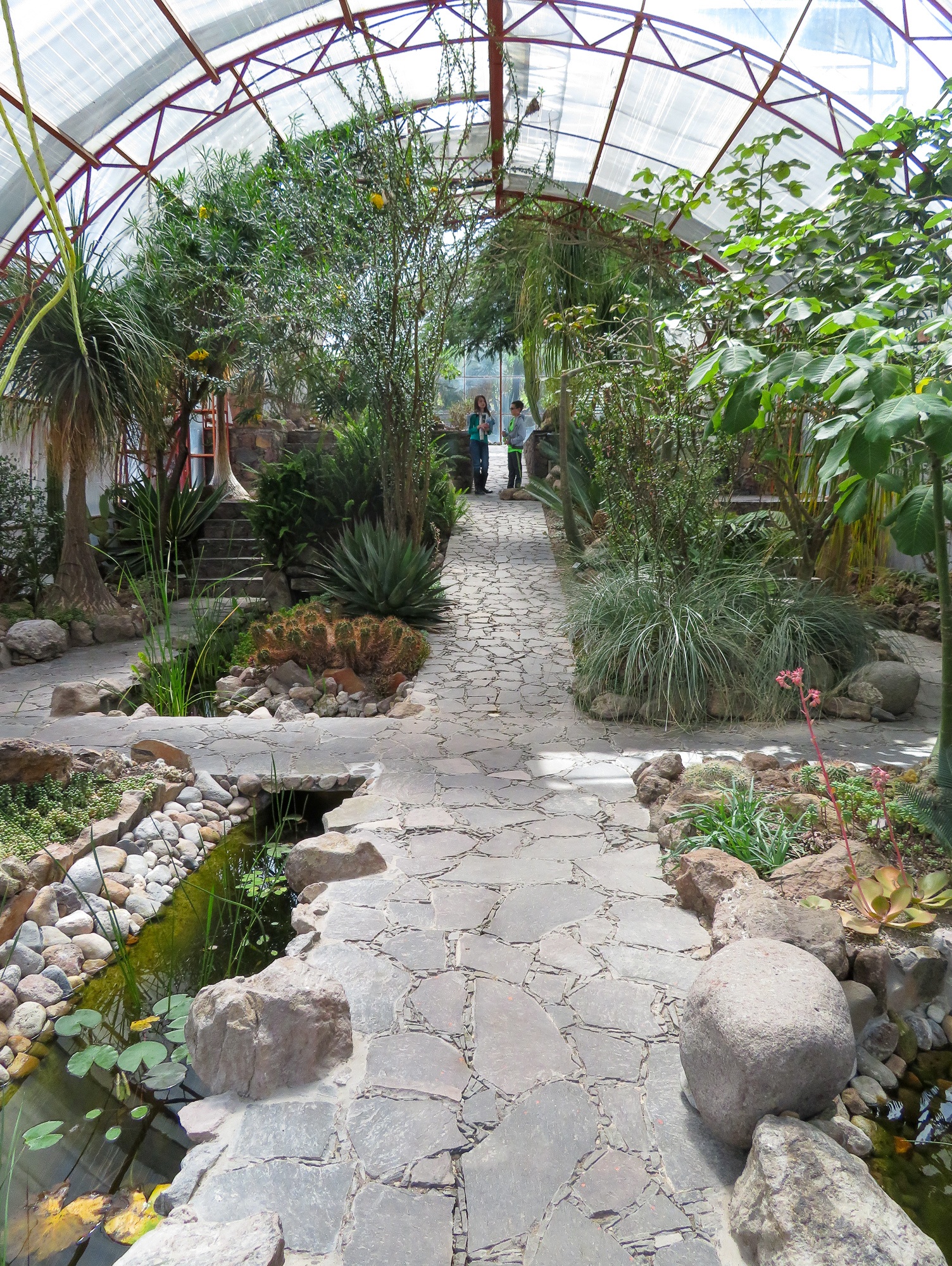 A greenhouse at El Charco del Ingenio 