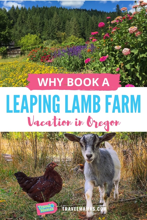 Leaping Lamb Farm Review