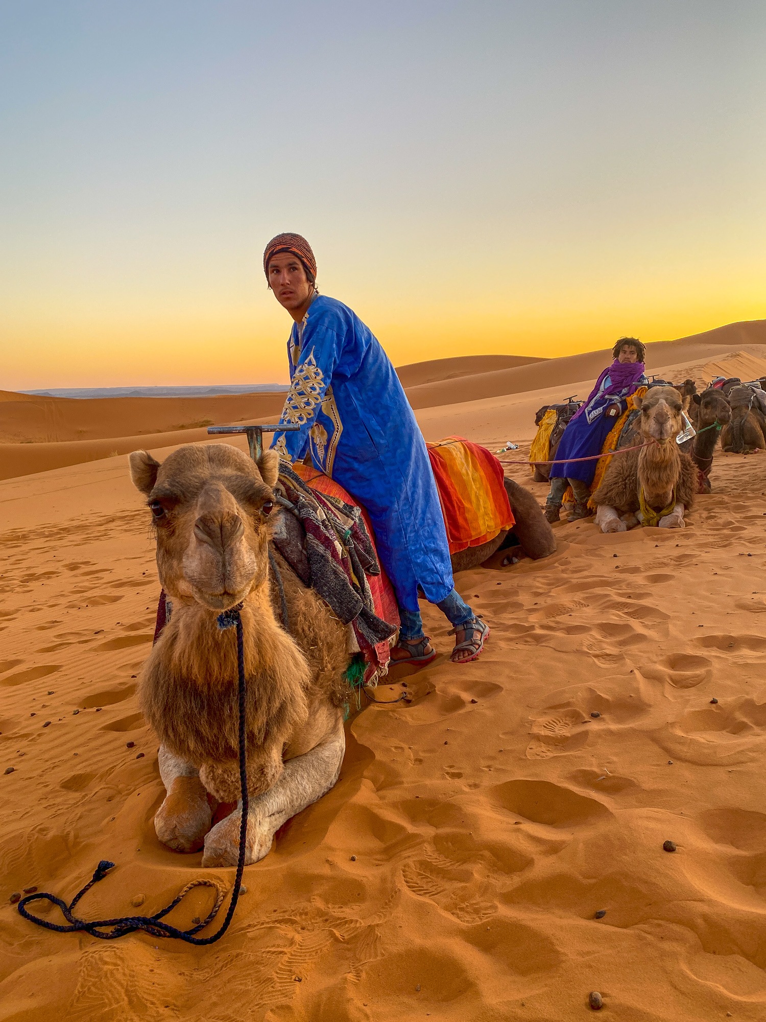 Camel safari guide in the Sahara Desert