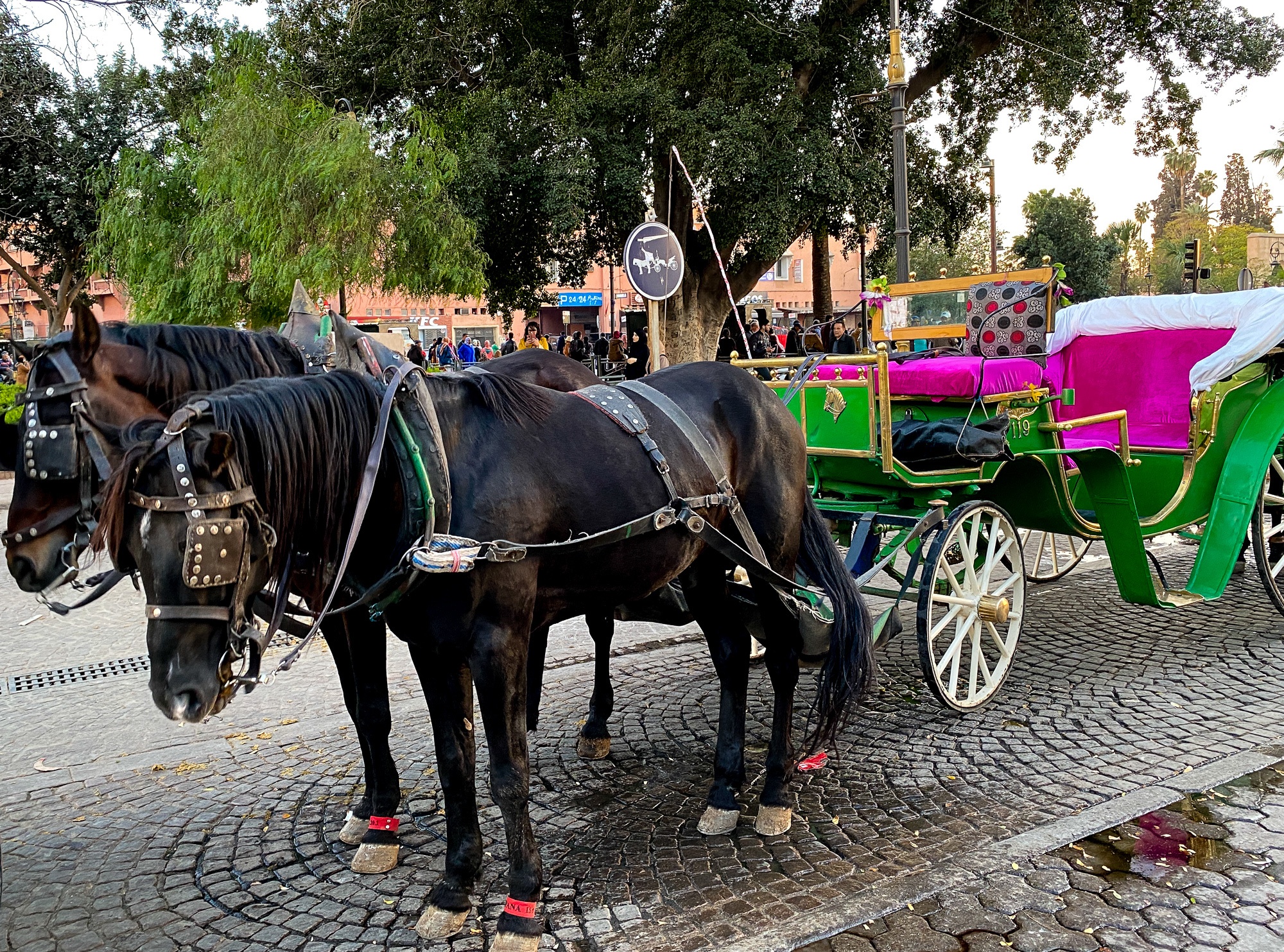 Horse drawn carriage in the Marrakech Medina