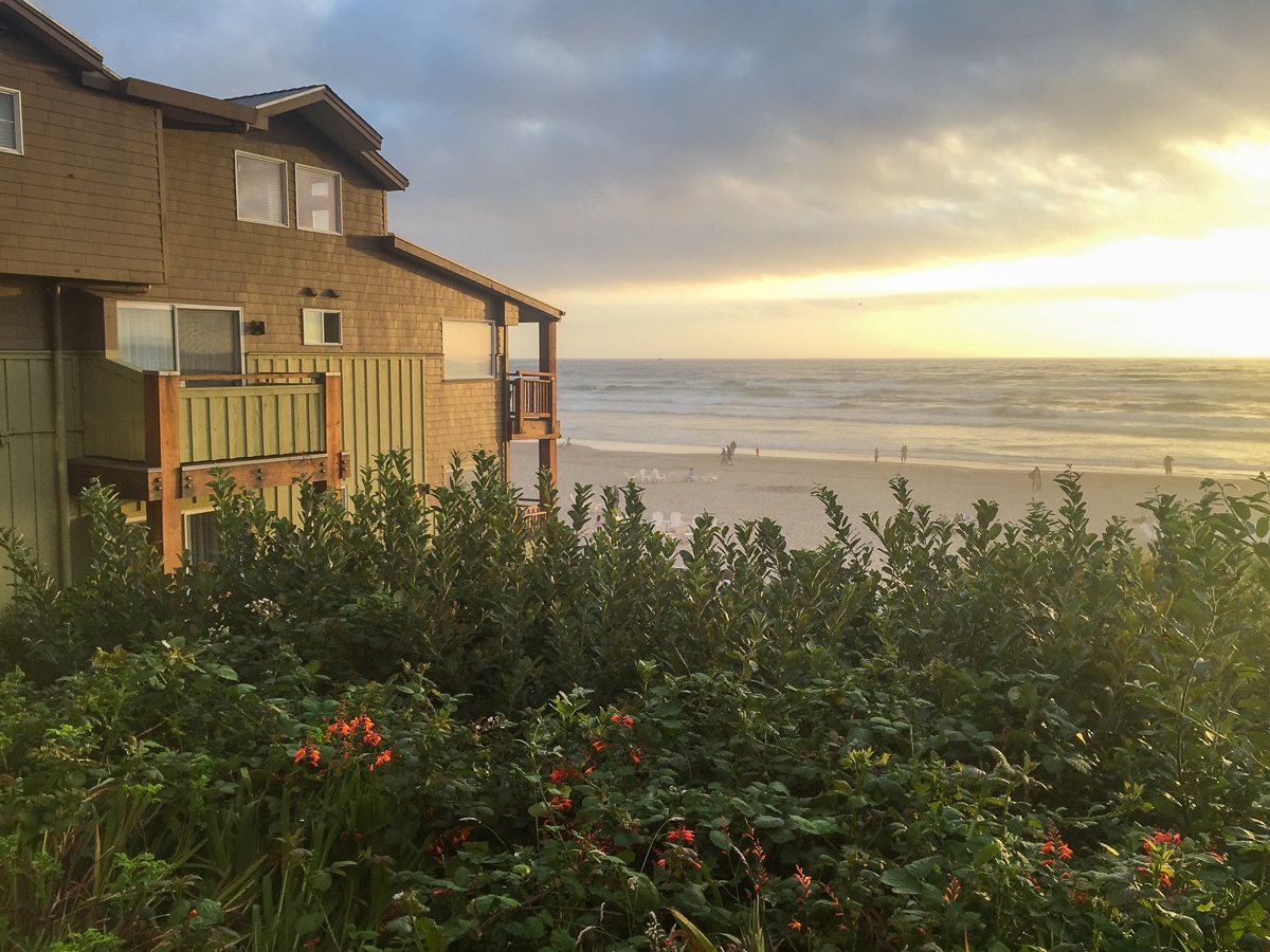 Beach view at Surfsand Resort