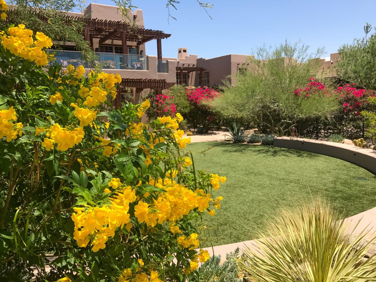 Beautiful grounds at Four Seasons Scottsdale