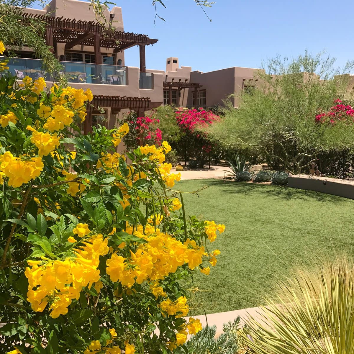 Four Seasons Scottsdale Review for Families with Kids