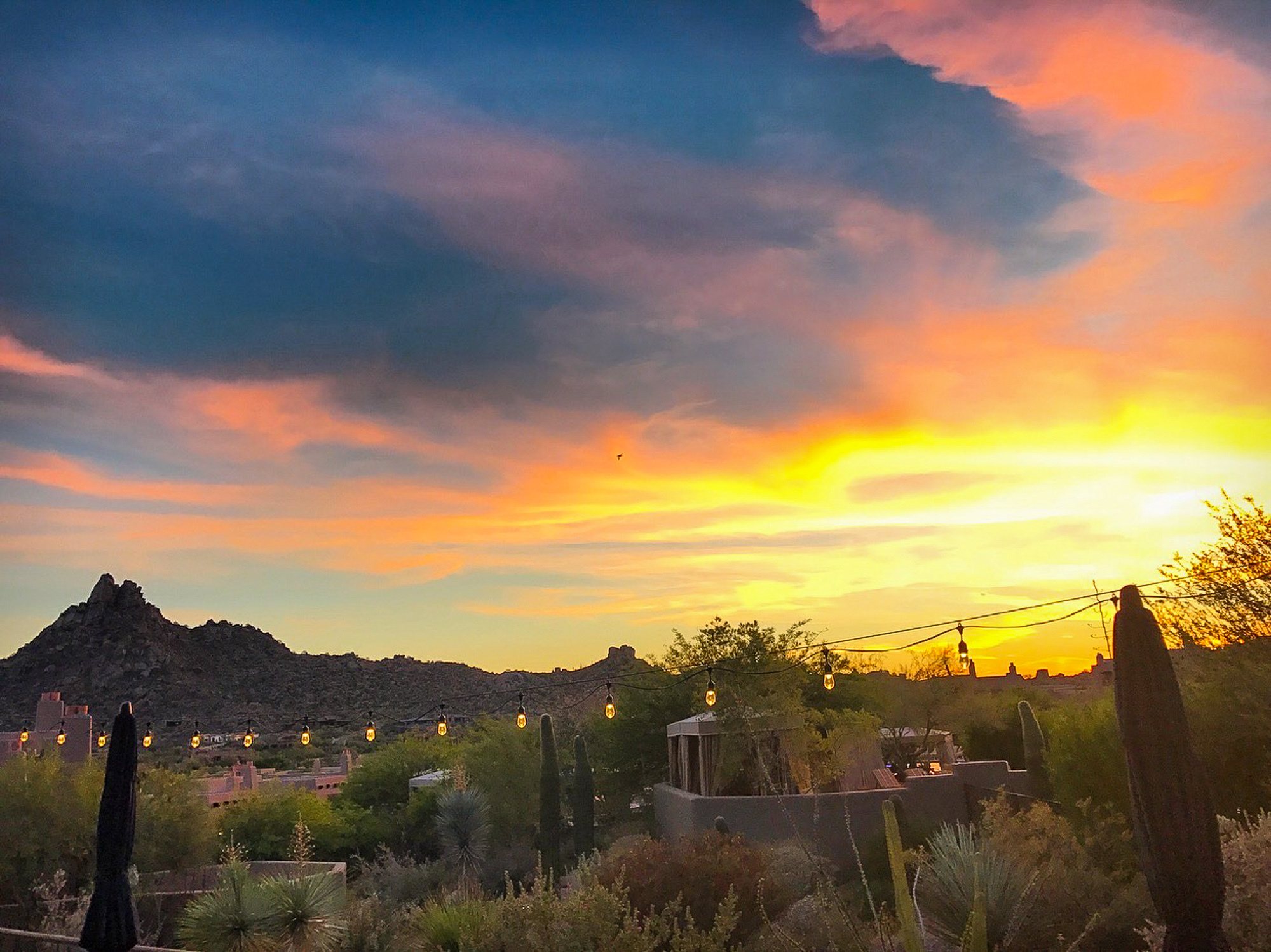 Desert Beauty at Four Seasons Scottsdale Troon North