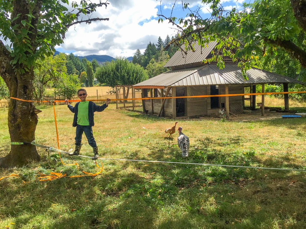 Finding balance at Leaping Lamb Farm 