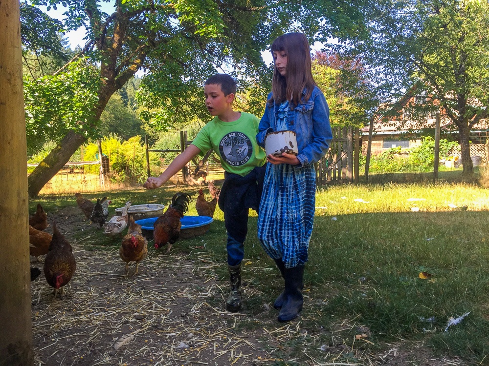 Feeding chickens and ducks at Leaping Lamb Farm in Alsea, Oregon