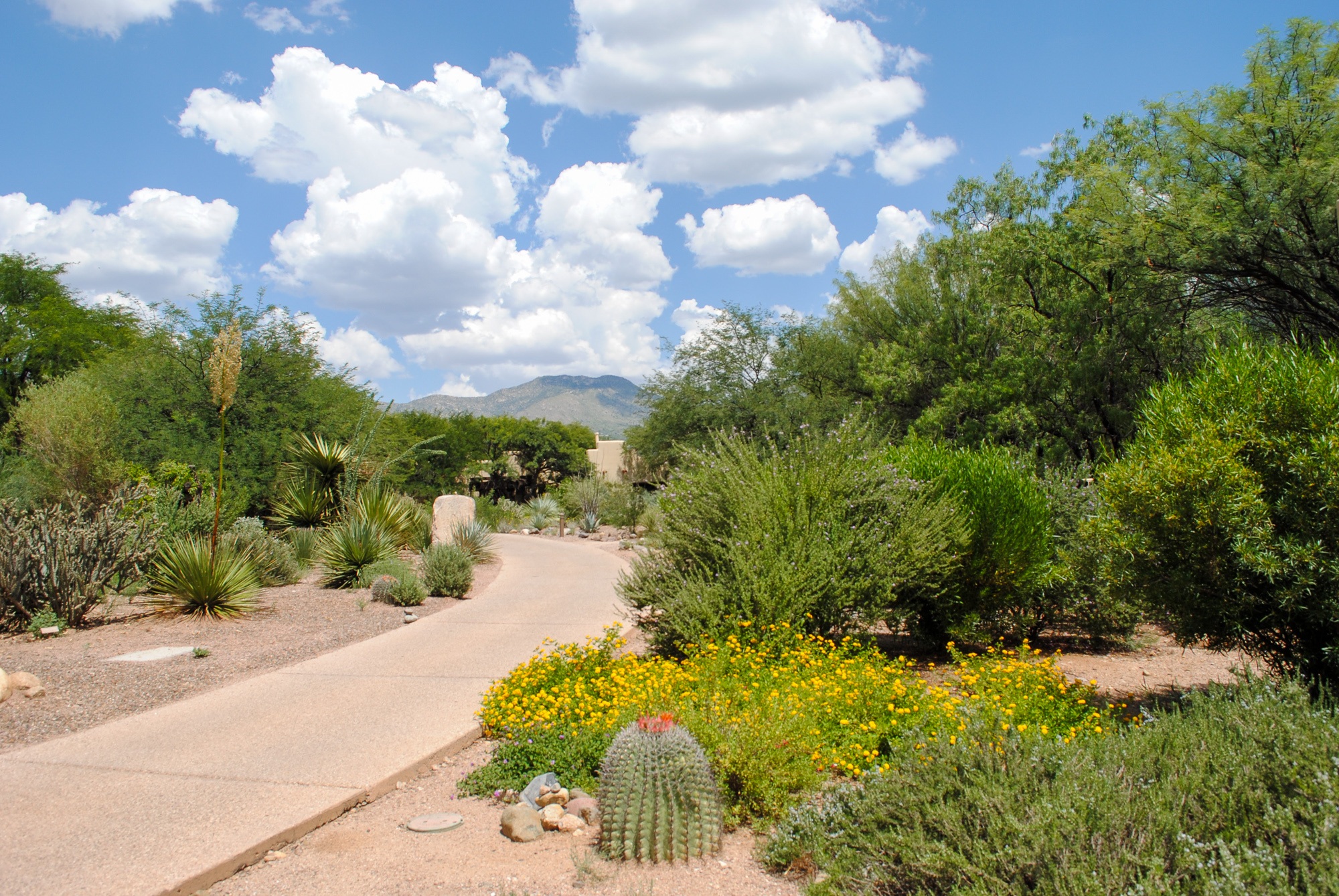 Miraval Resort in Tucson, Arizona 