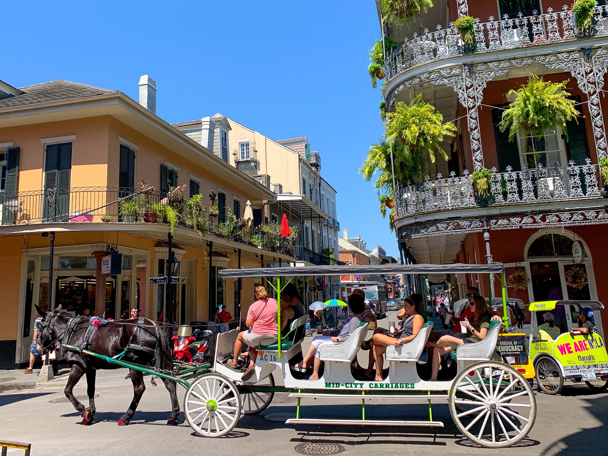 Mule-drawn carriage ride in the French Quarter in New Orleans, Louisiana