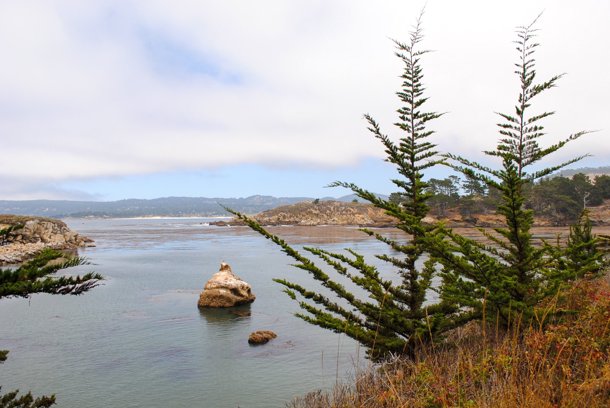 Point Lobos State Reserve view