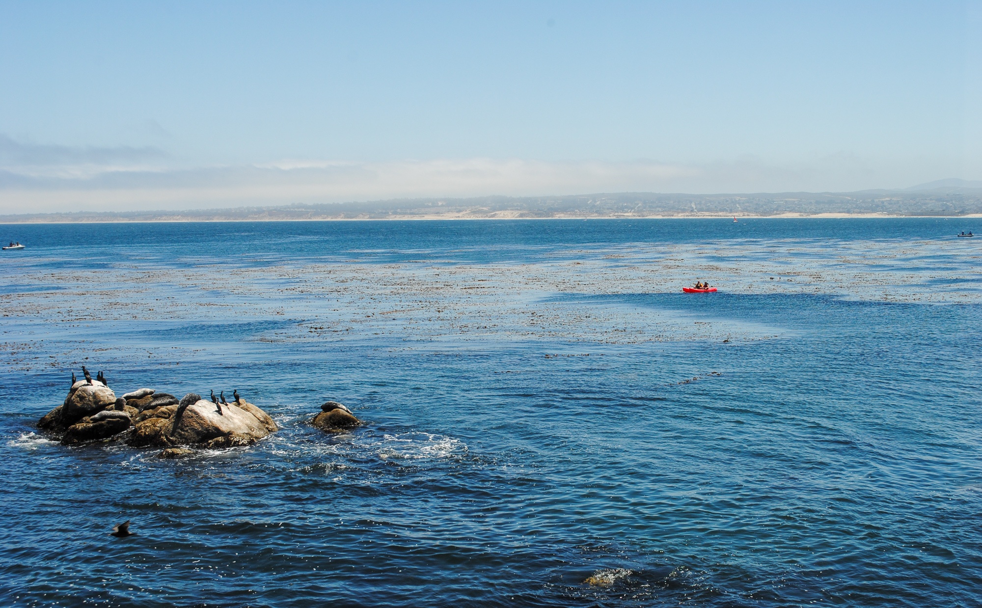 Monterey Bay view