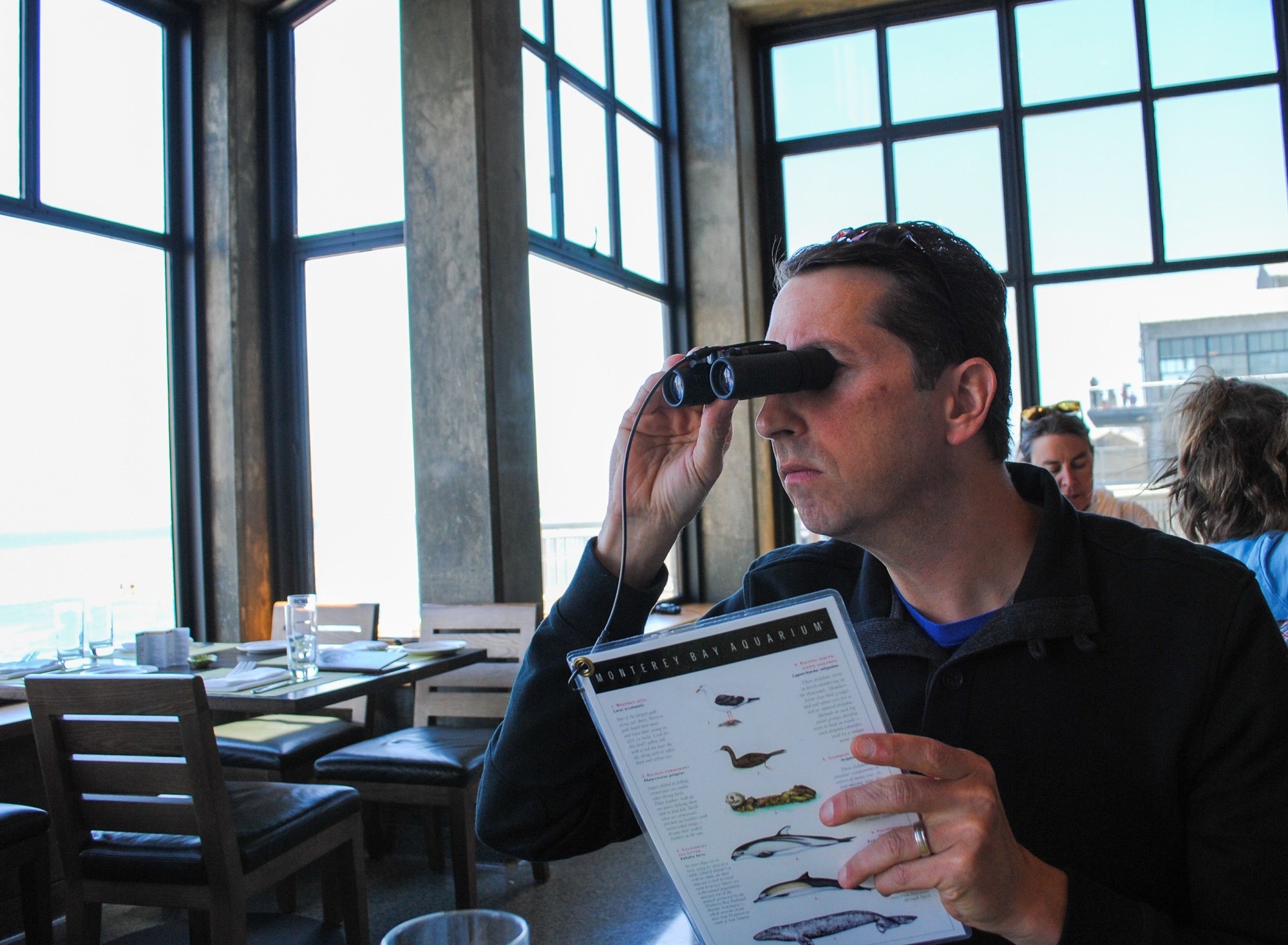 Looking for sea creatures during our lunch at the Monterey Bay Aquarium