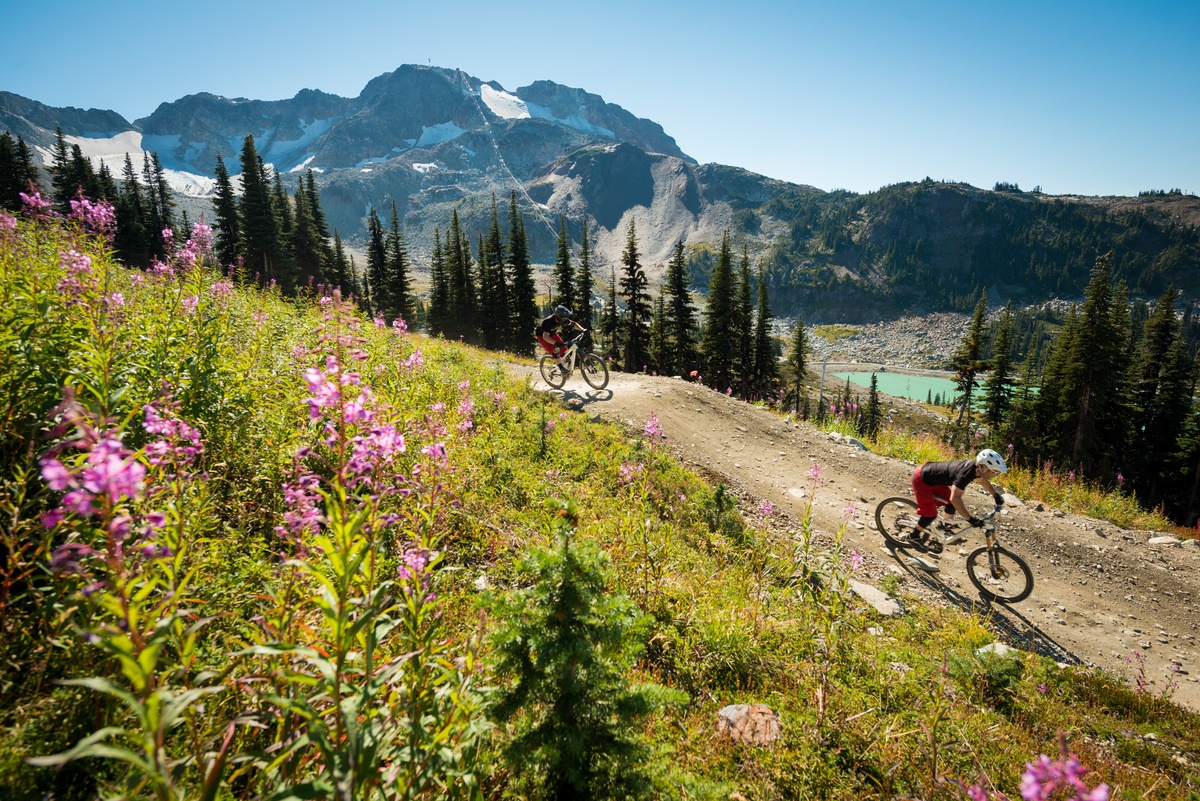 Mountain biking in Whistler 