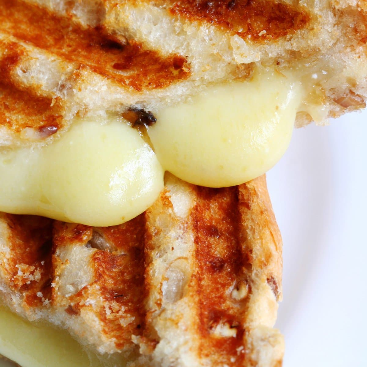 grilled cheese sandwich