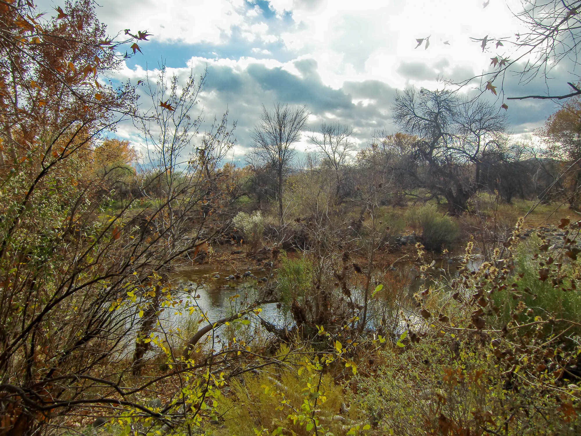 Wet Beaver Creek, a tributary of the Verde River, may be flowing or dry, depending on when you visit Montezuma Castle