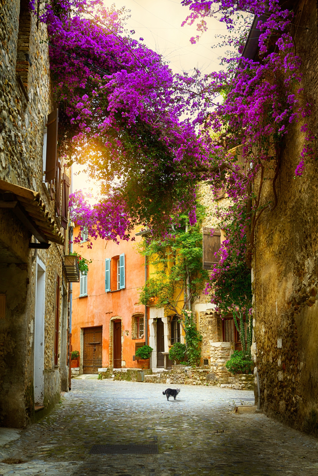 A beautiful street scene in Provence, France