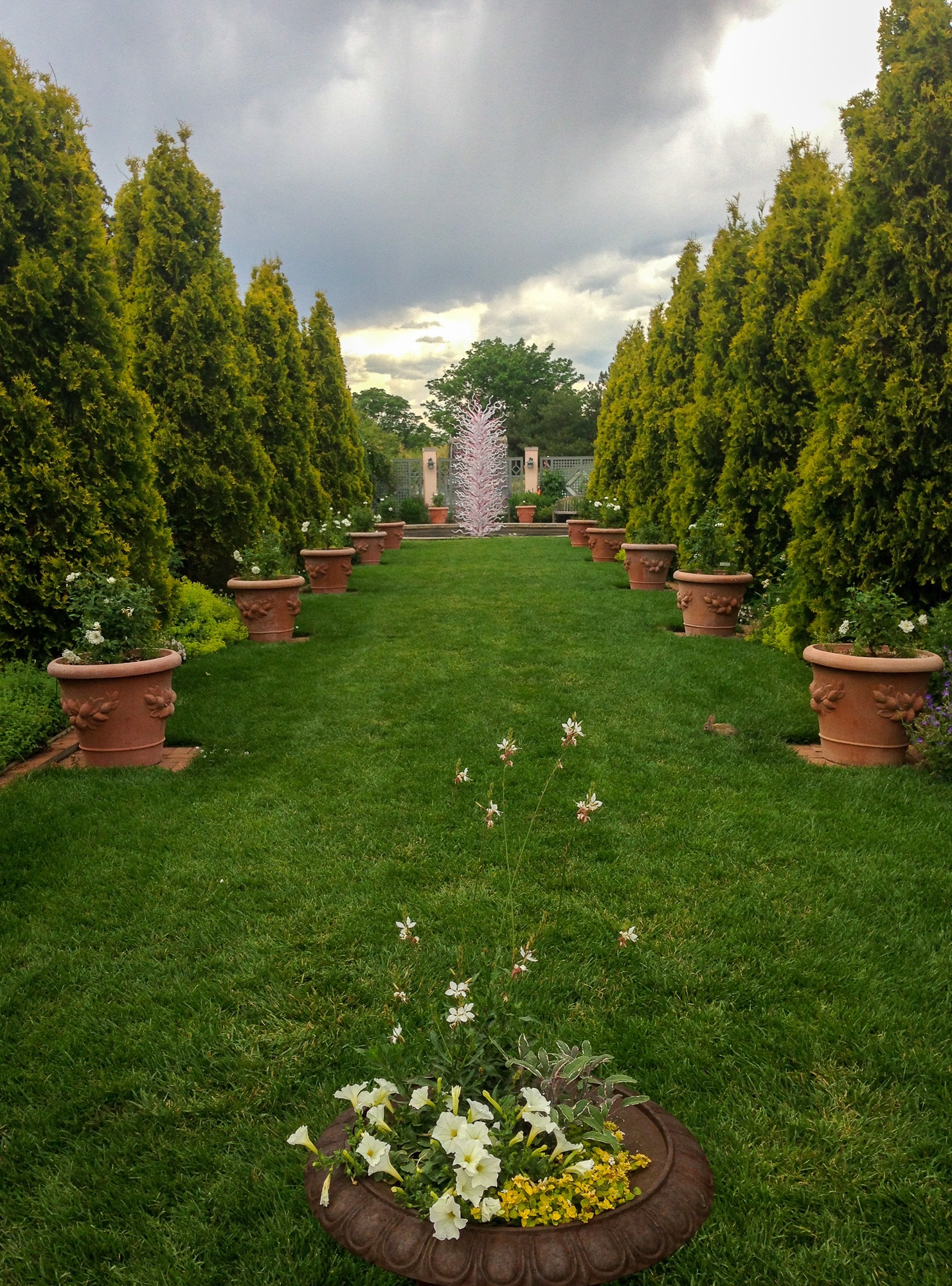 Denver Botanic Gardens 