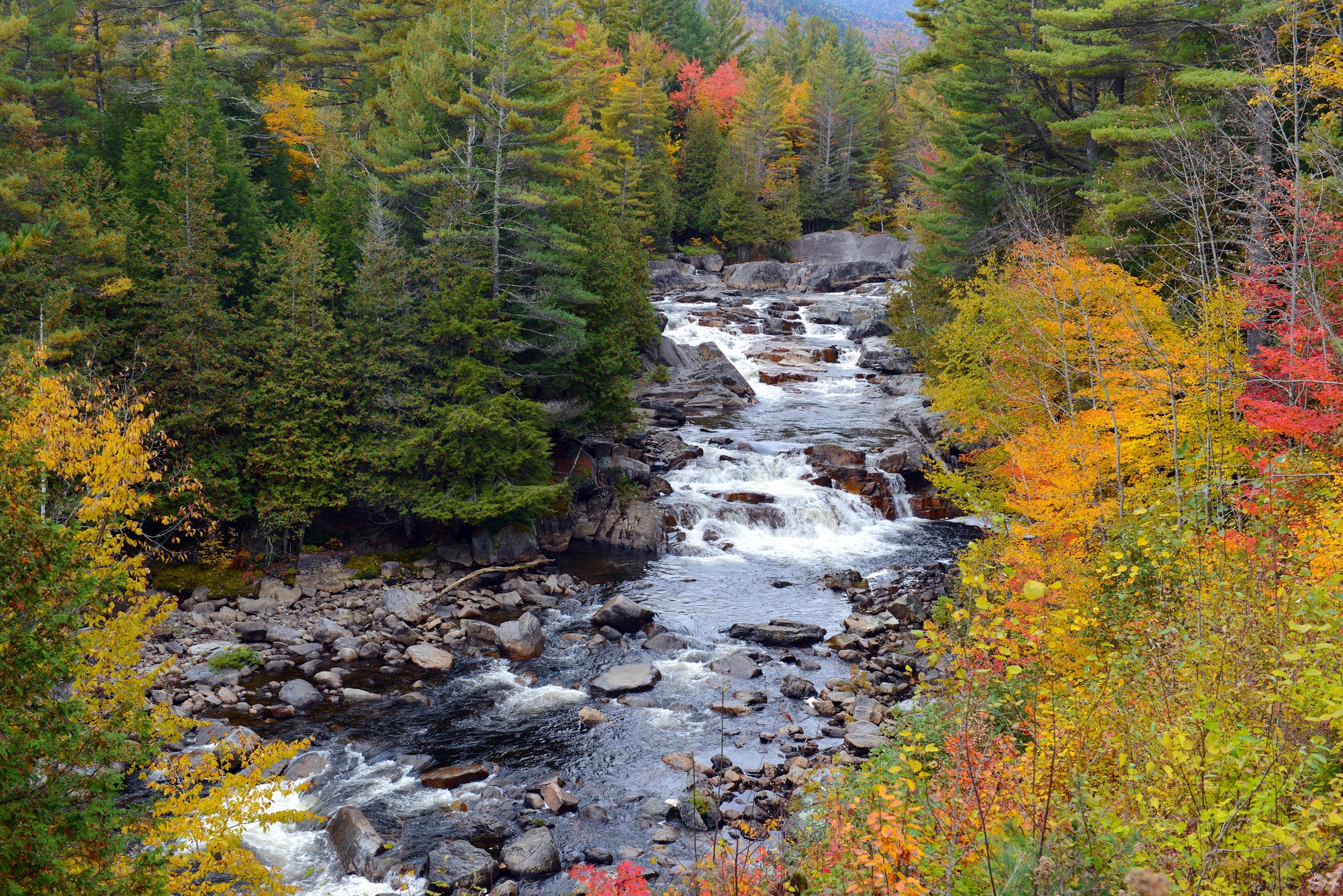 Fall in the Adirondacks