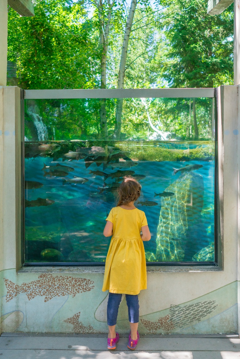 MK Nature Center in Boise with kids