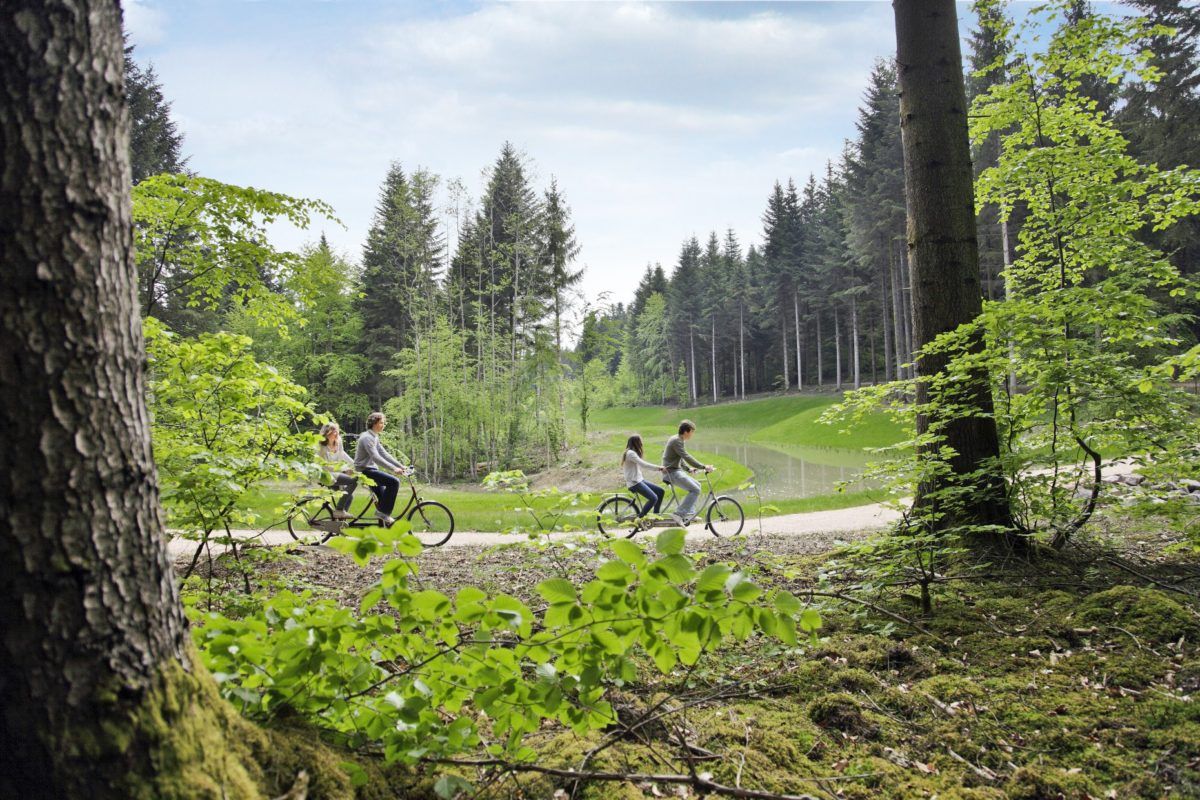 Bicycling at CenterParcs France Trois Fôrets