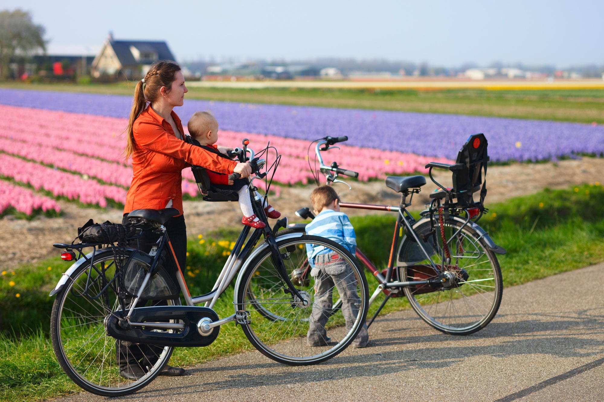 A family bicycling past tulip fields in the Netherlands