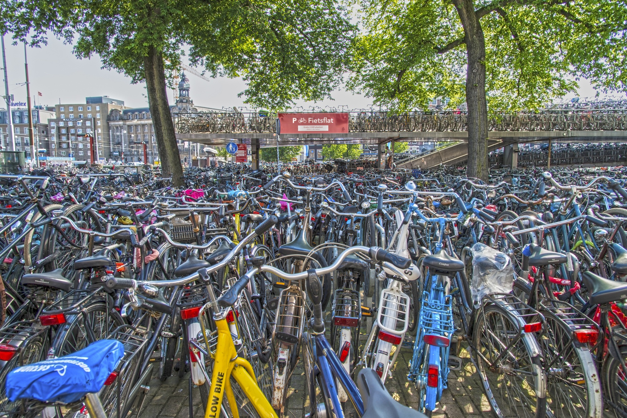 Dutch love of bicycles