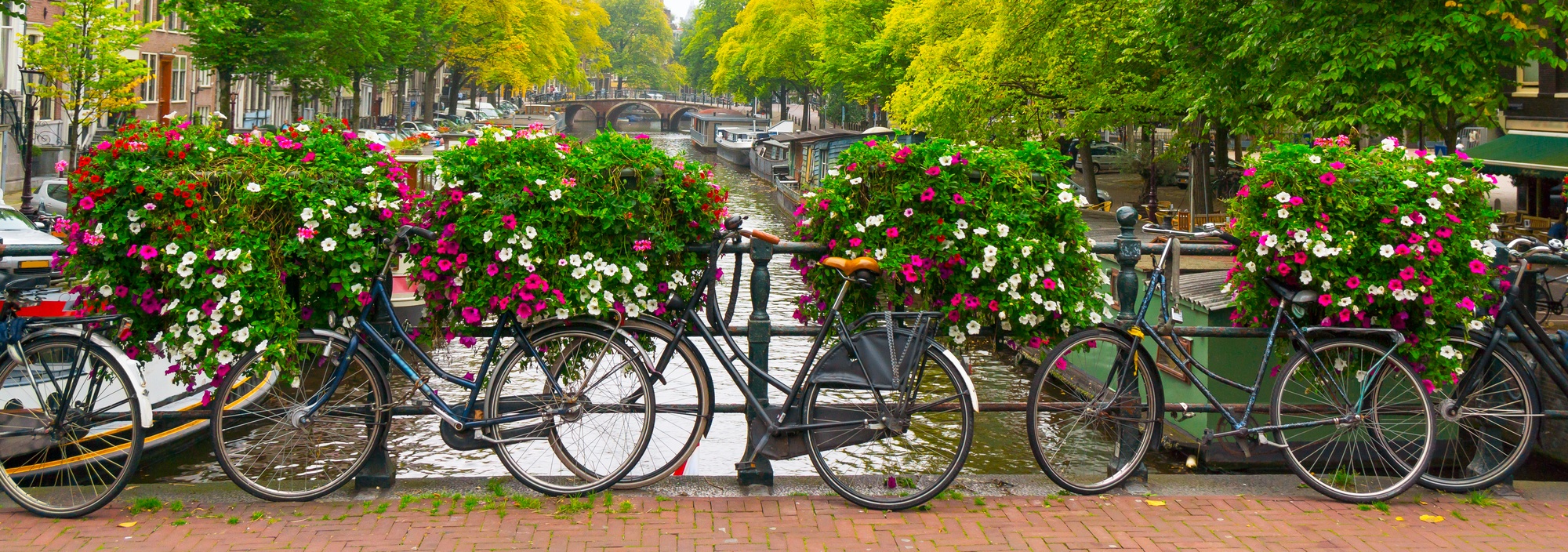 Bicycles parked by a canal in Amsterdam