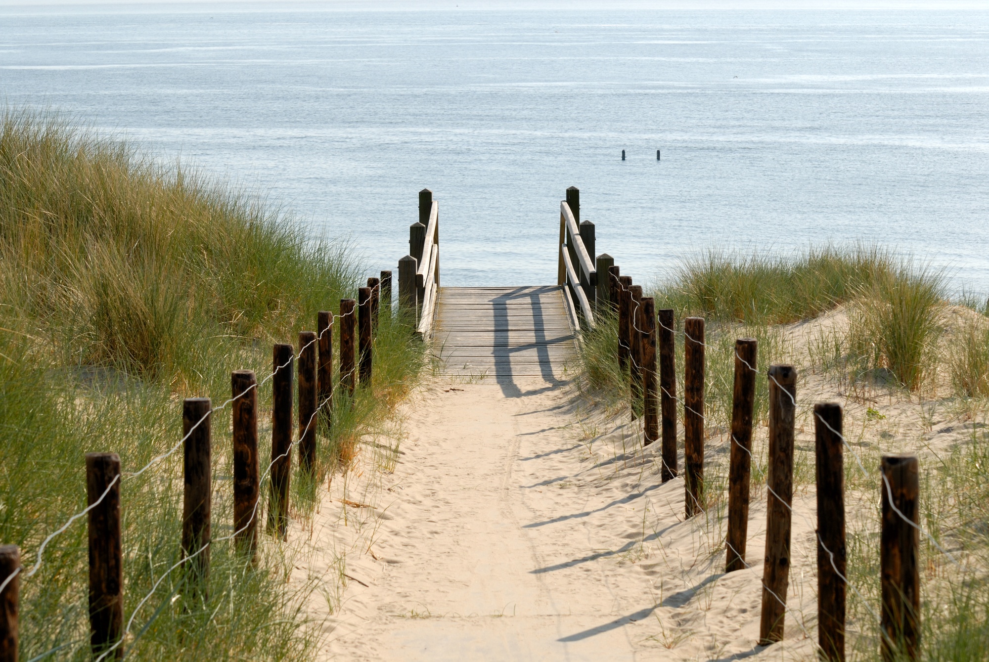 Beach in the Netherlands 