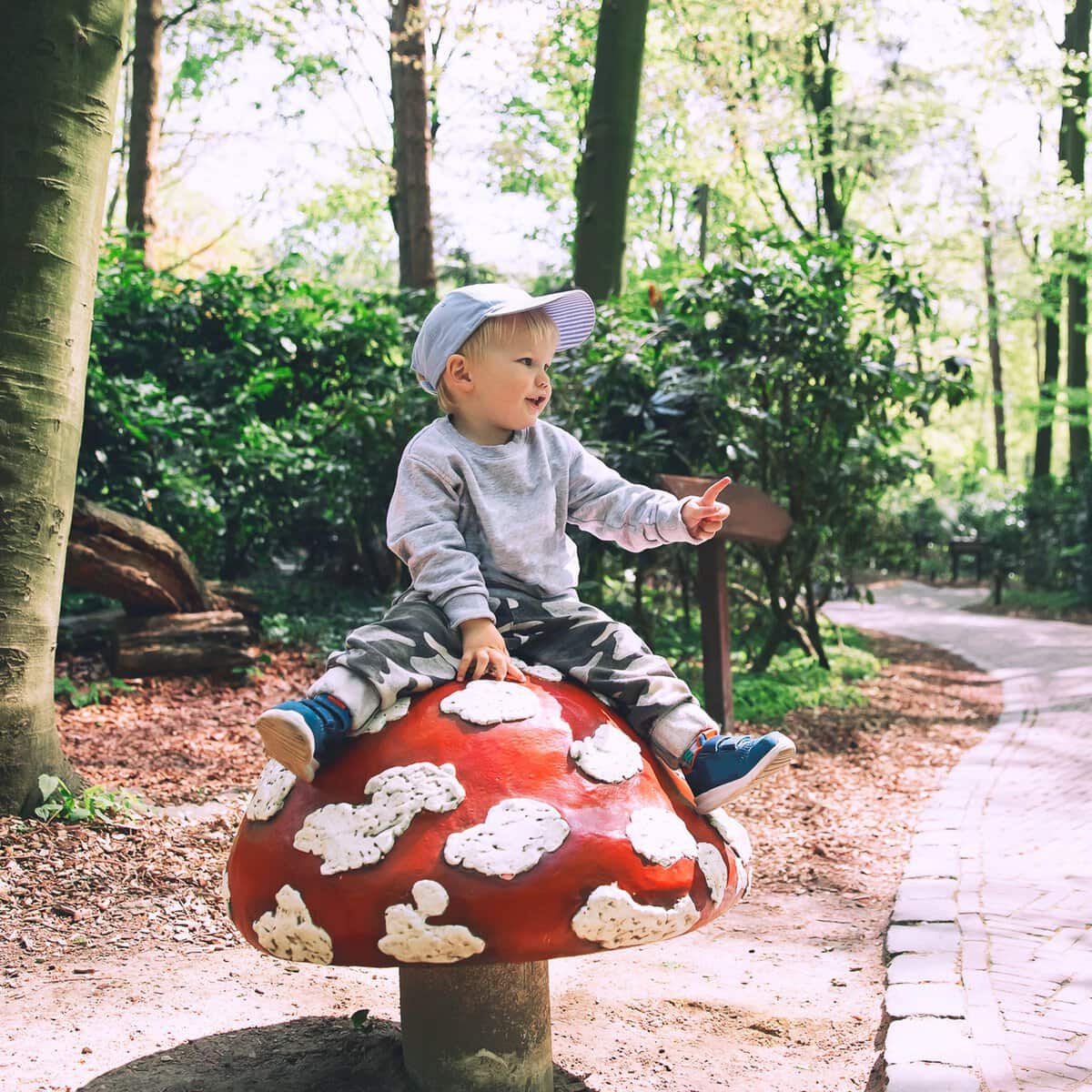 Netherlands in summer with kids