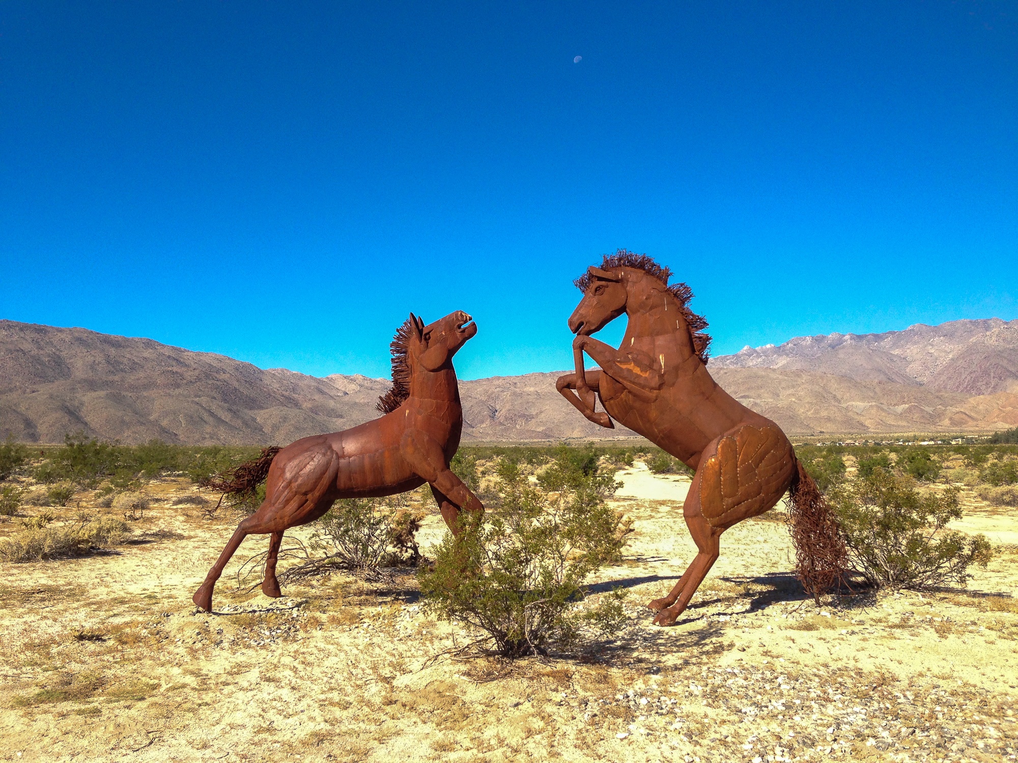 Horse sculptures by Artist Ricardo Breceda in Borrego Springs