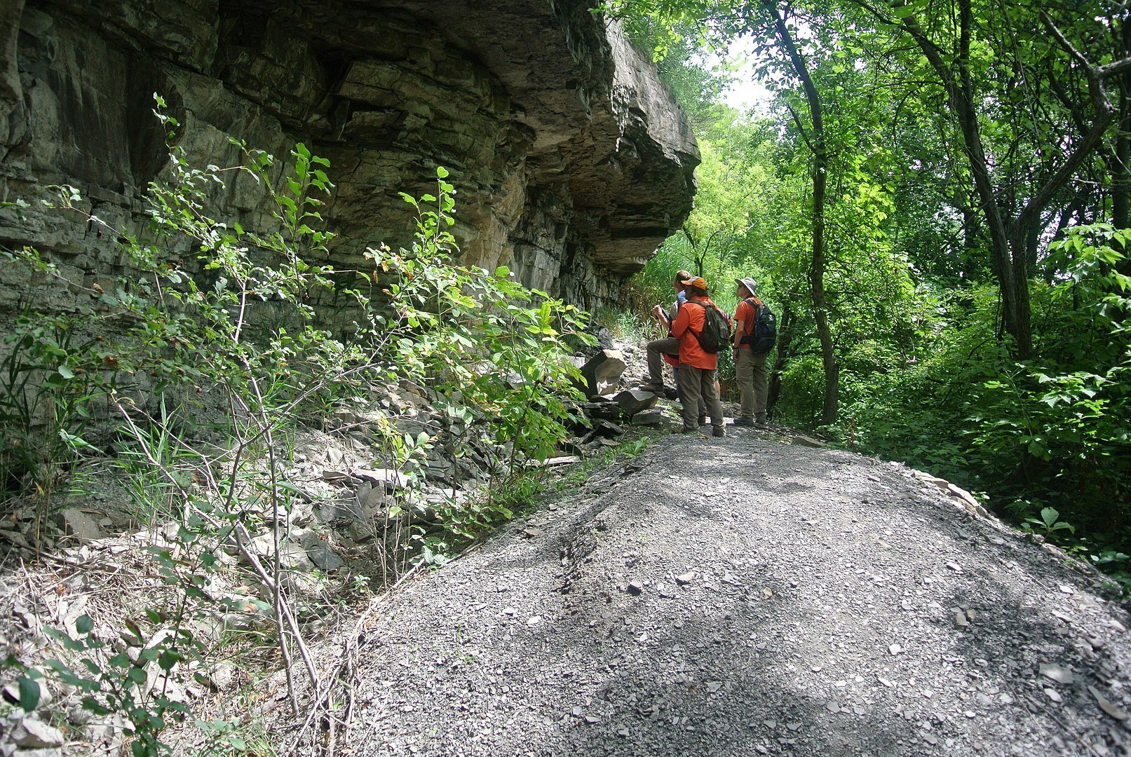 Niagara Gorge Trail in New York