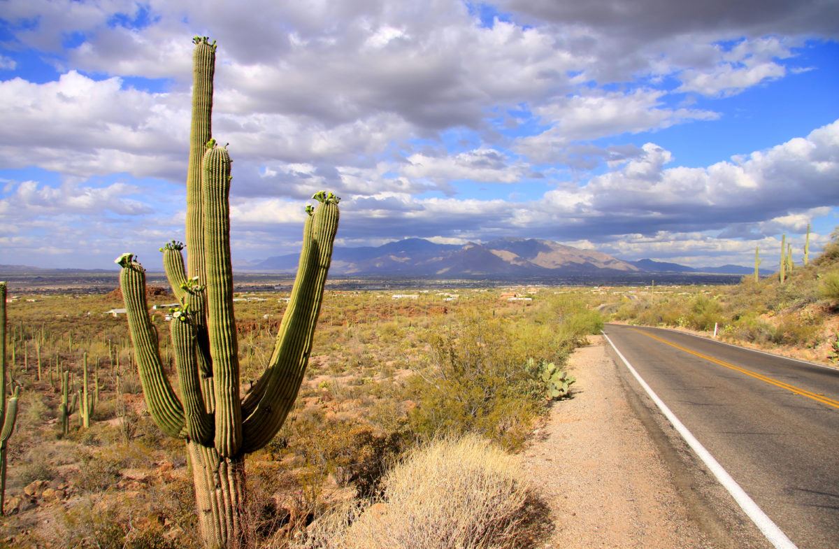 Best Road Trip from Phoenix, Arizona 