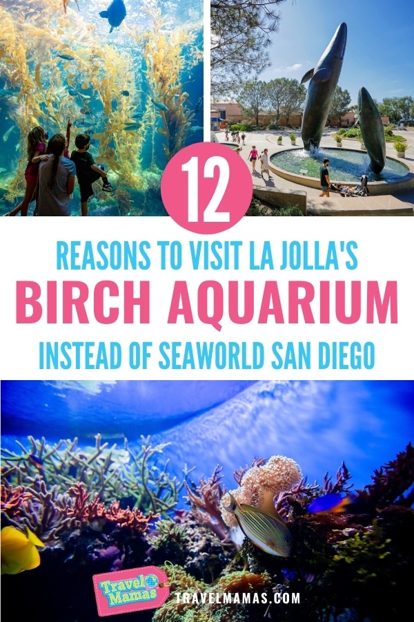 Birch Aquarium vs. SeaWorld San Diego