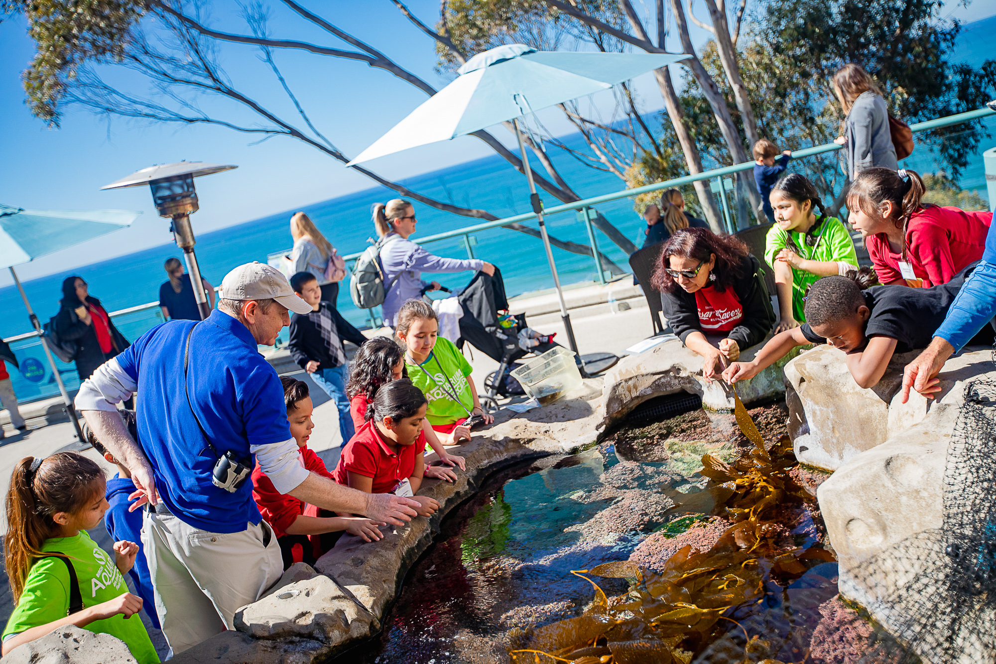 Tide Pool Plaza at San Diego Birch Aquarium