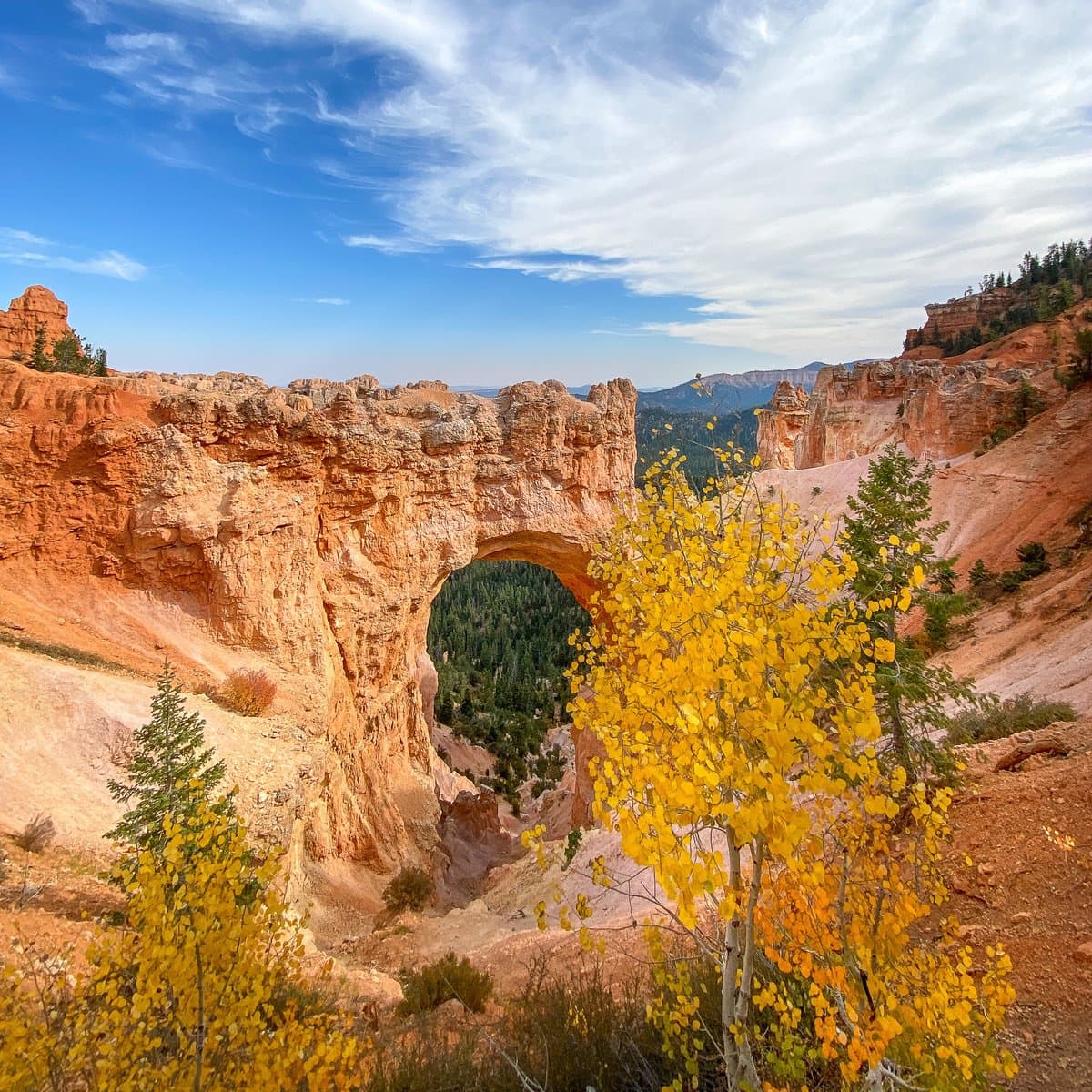 Natural Bridge in Bryce Canyon, one of the best national parks for kids in the USA