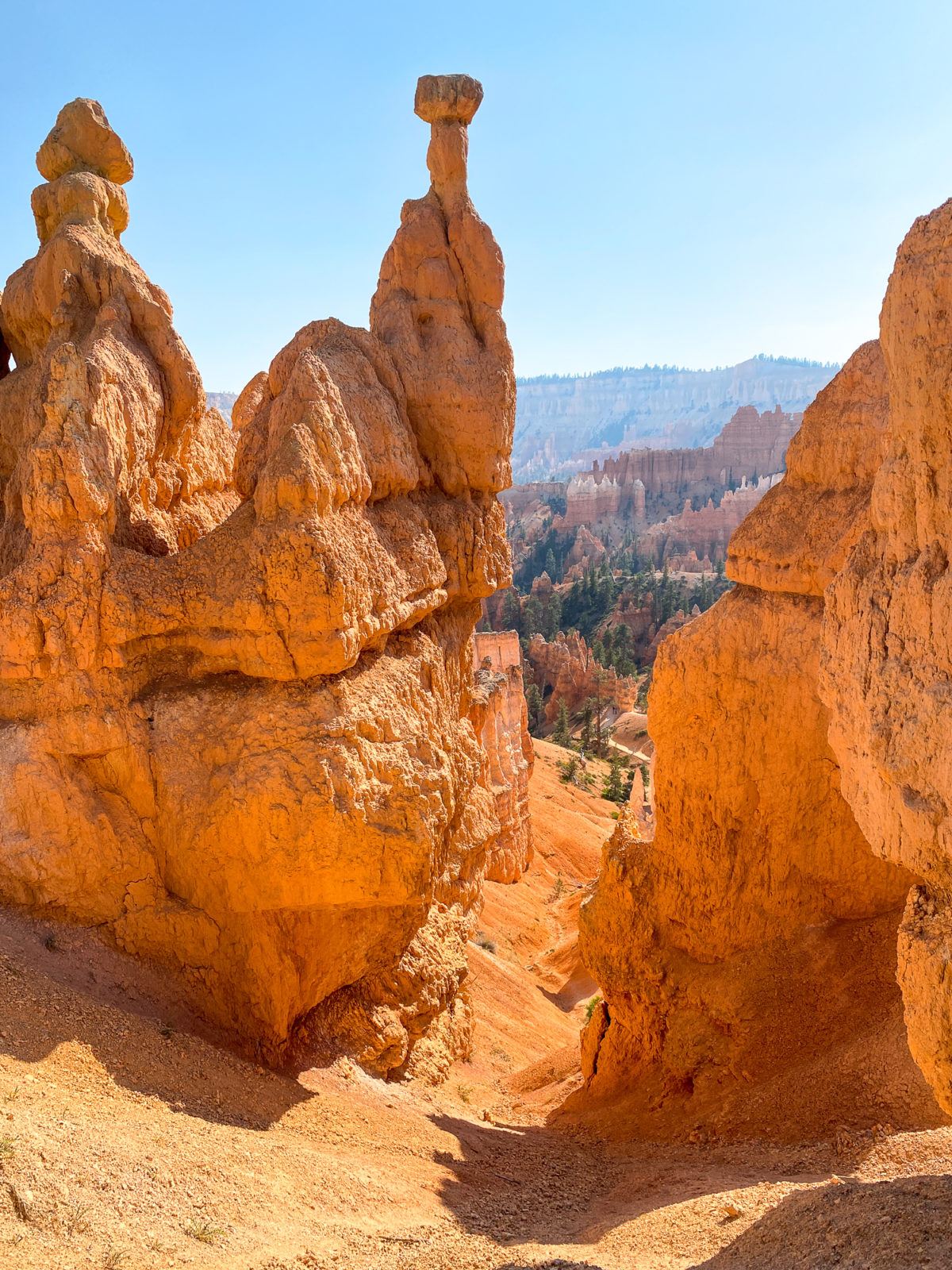 Hoodoos in Bryce Canyon