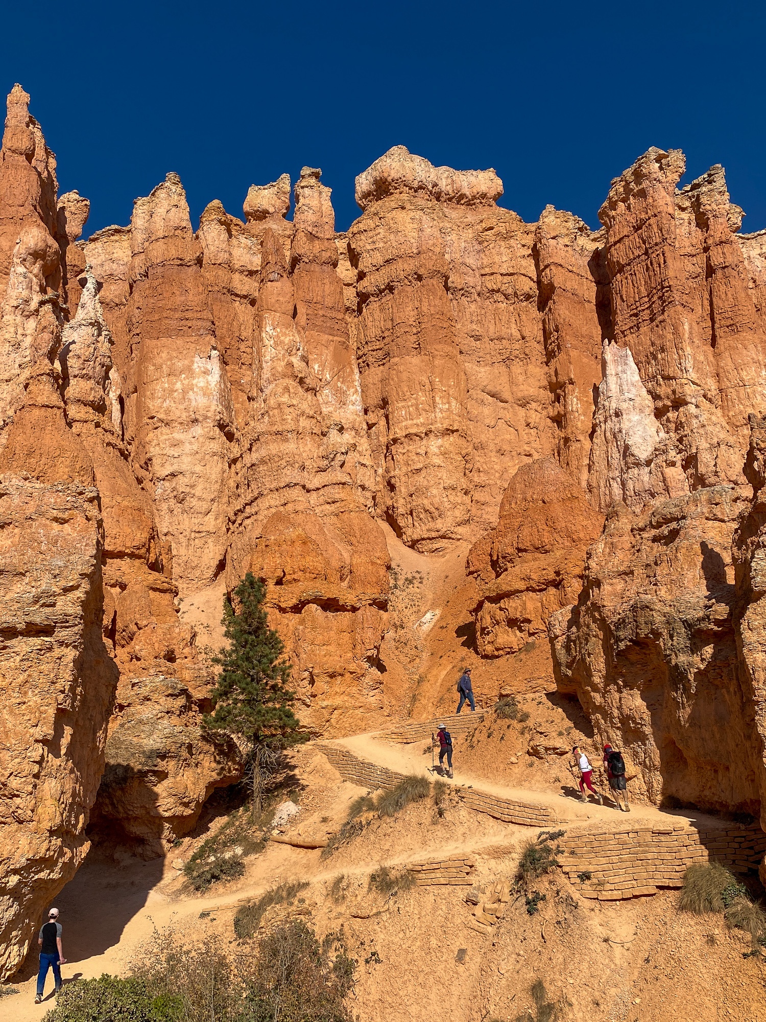 Hiking Queen's Garden Trail in Bryce Canyon National Park with kids