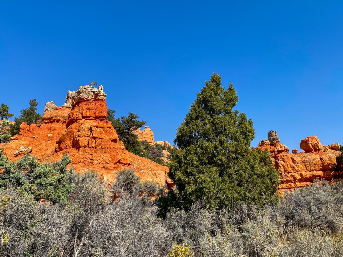 Red Canyon Dixie National Forest