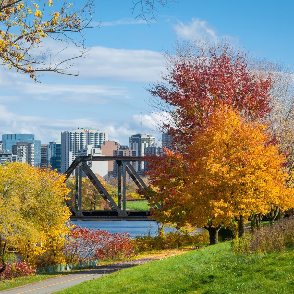 Fall in Ottawa