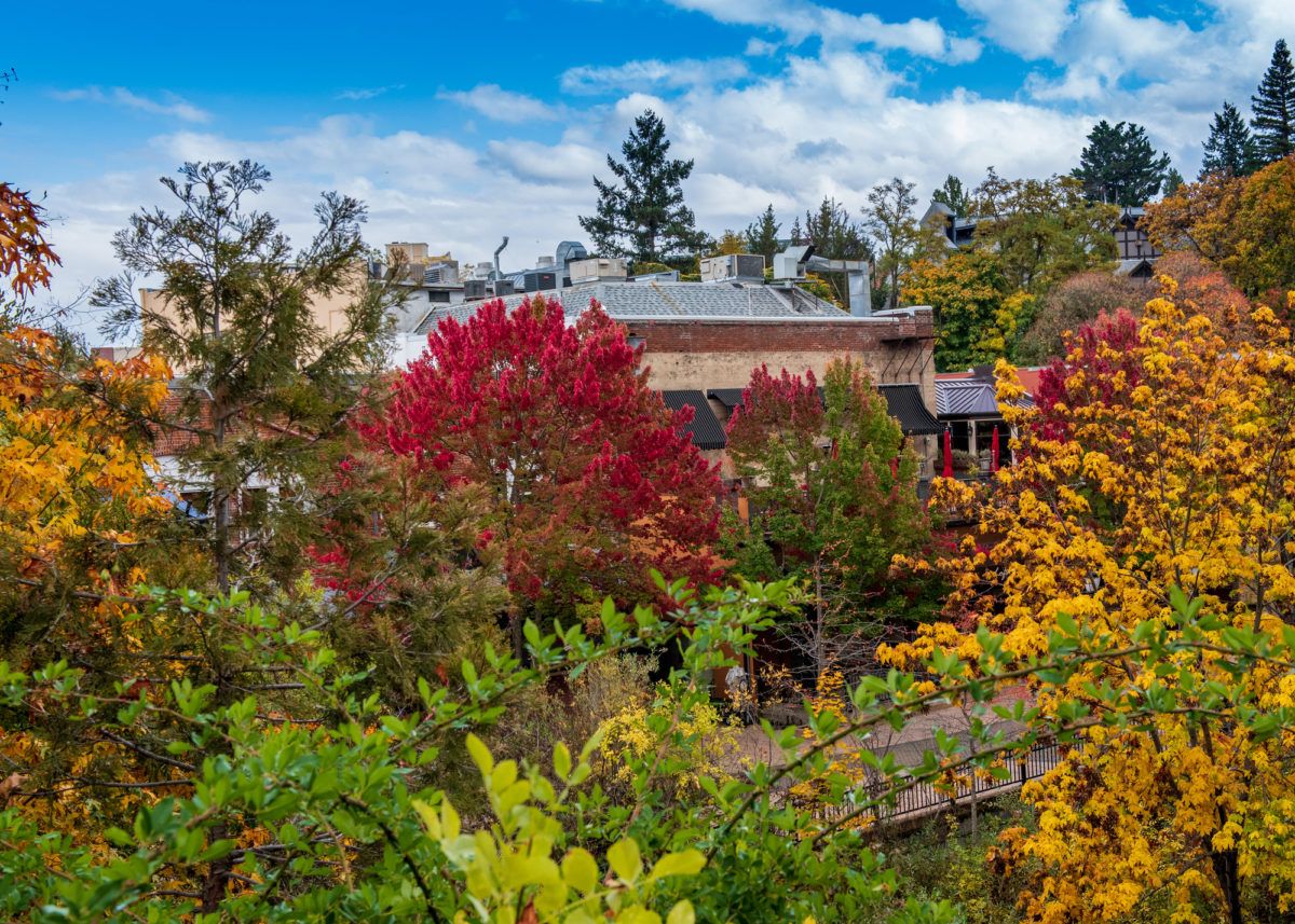 Lithia Park in Ashland, Oregon