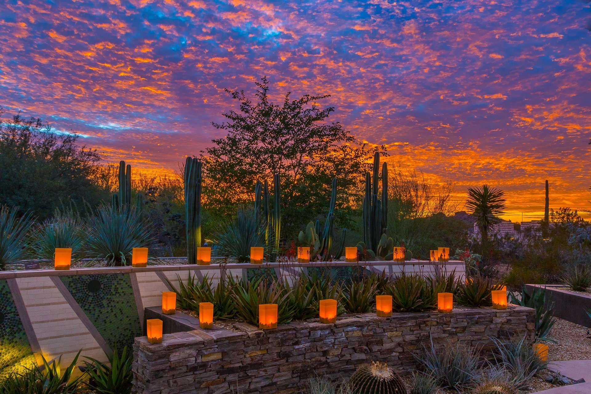 Las Noches de la Luminarias at the Desert Botanical Garden