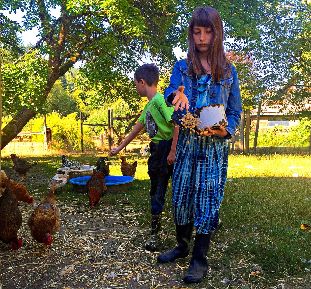 Kids feeding ducks and chickens during a farm stay vacation