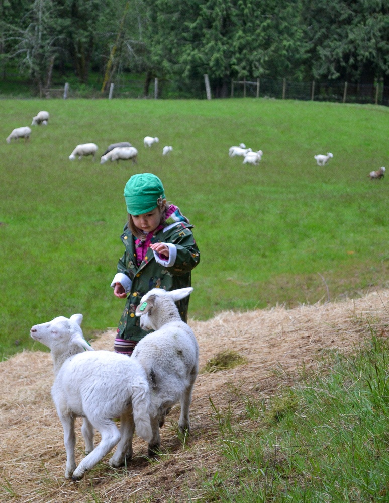 Nature vacations like farm stays help kids connect with nature 