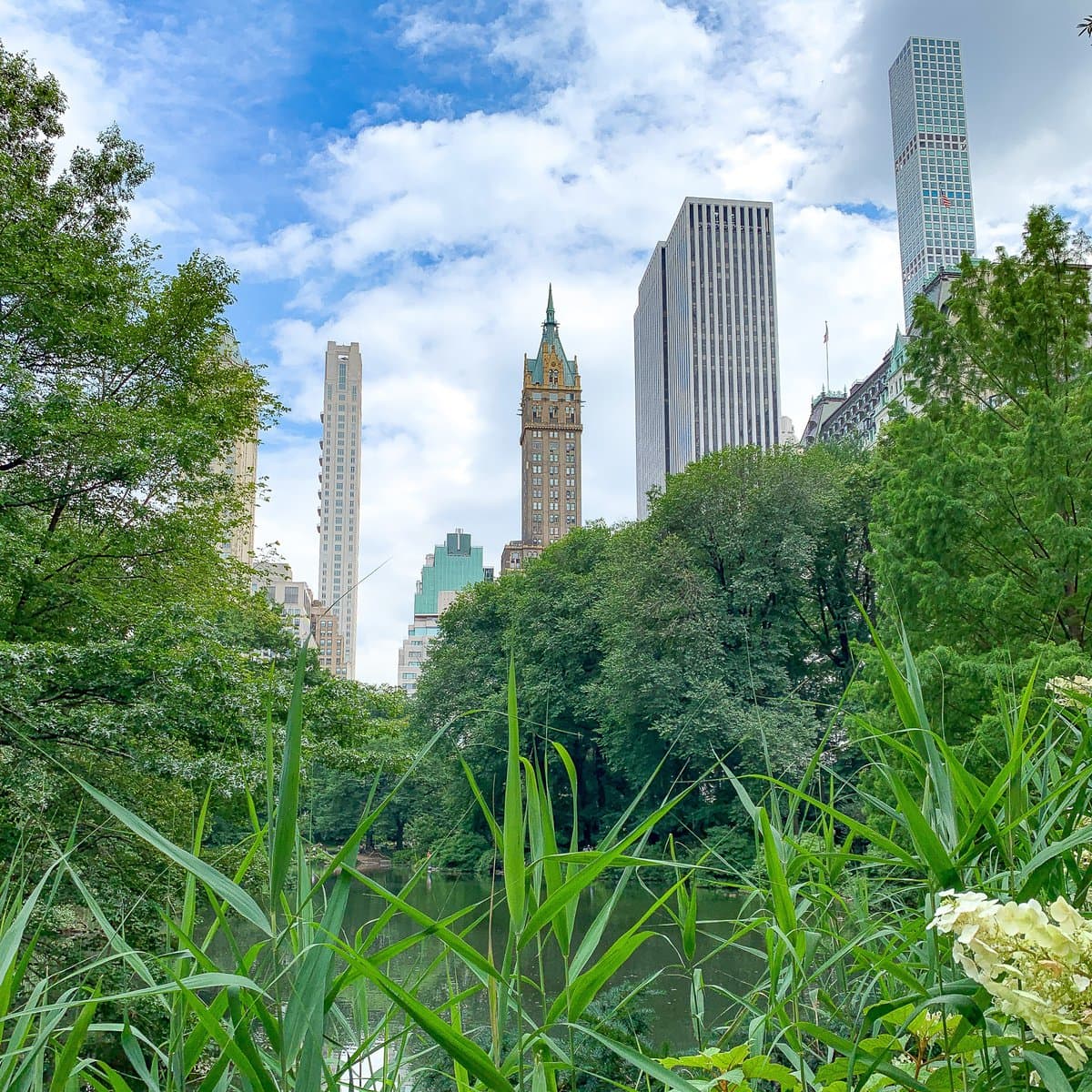 New York City skyline from Central Park