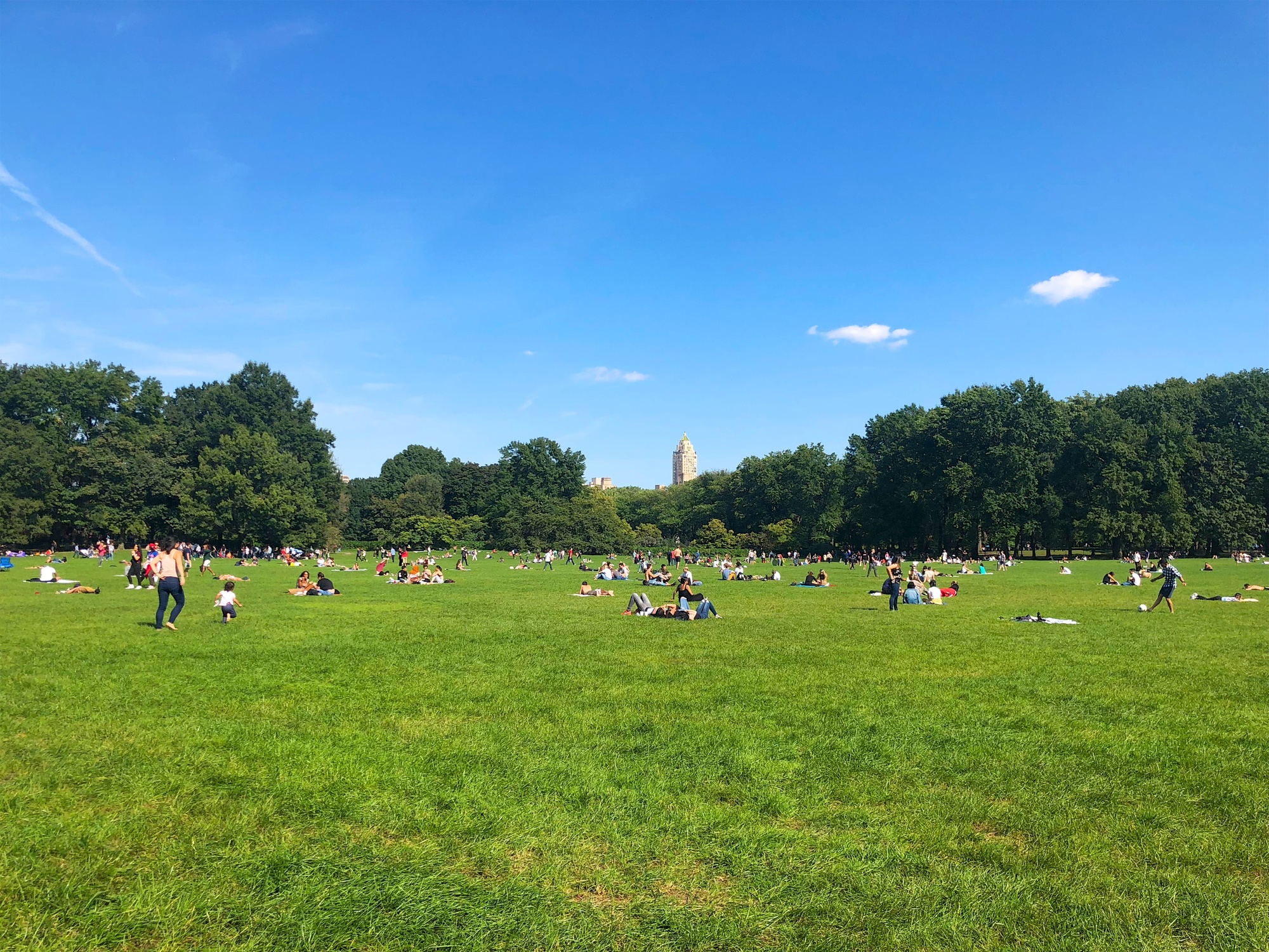 Picnickers on Sheep Meadow in Central Park