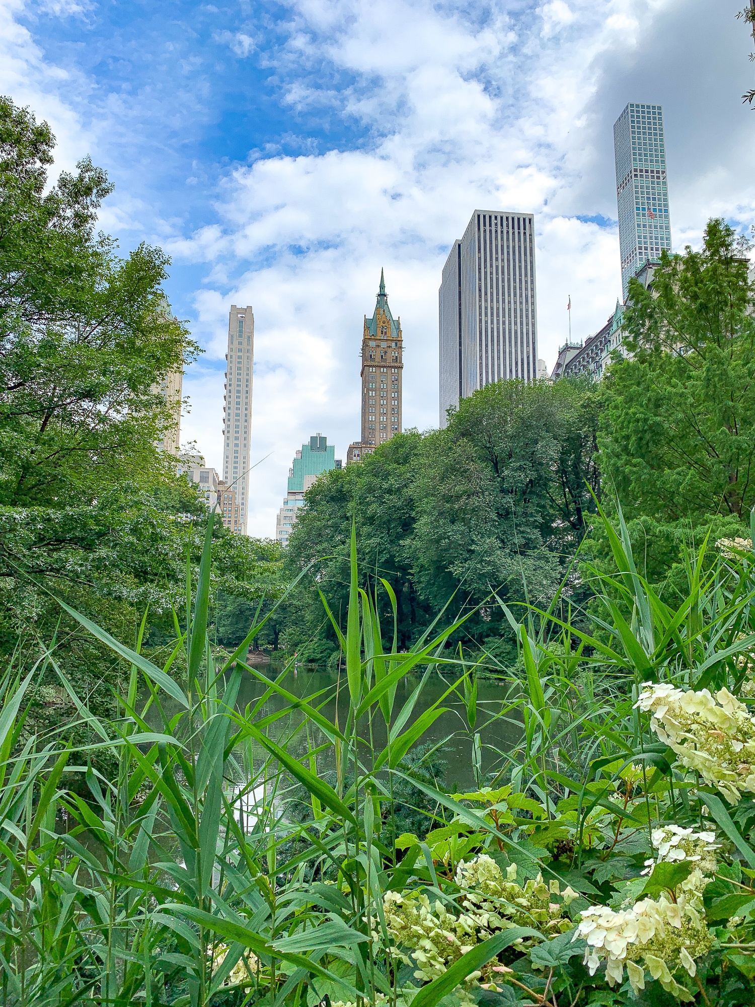 Central Park in summer 